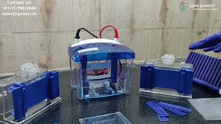 Vertical Electrophoresis  Vertical Gel Electrophoresis system [upl. by Hyo]