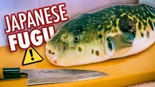 What Japans Deadliest Dish Tastes Like  Poisonous Blowfish Fugu [upl. by Olifoet]