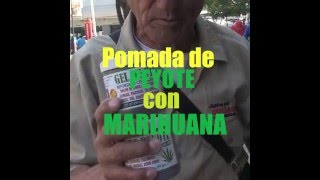 Pomada peyote con marihuana [upl. by Nayt]