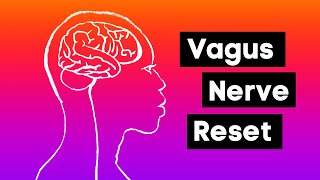 Mindfulness Exercise Vagus Nerve Reset [upl. by Hung]