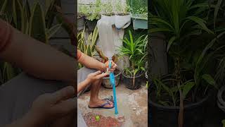 Technique to fix PVC pipe faucet low water pressure shorts [upl. by Weld565]