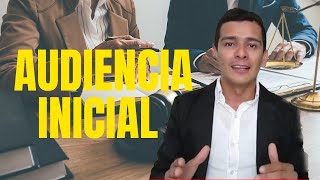 Audiencia Inicial del Articulo 372 Código General del Proceso  Paso a Paso [upl. by Shayna]