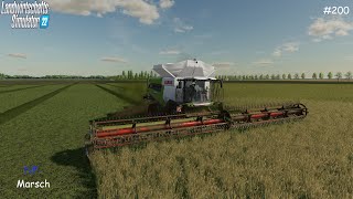 LS22NFMARSCH 4FACHVermehrungsgras ernten und Gras sammeln200 FS22 [upl. by Bueschel]