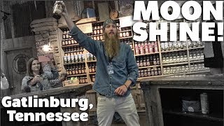 Moonshine Tasting  Gatlinburg Weekend [upl. by Pincus]