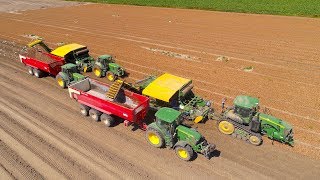 Harvesting Tulip Bulbs in Netting  Bollenteelt op 225 bedden  Vido Fleur  John Deere Koops [upl. by Esilenna737]