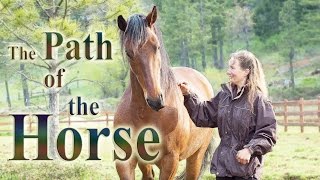 The Path of the Horse  Full Length documentary [upl. by Eidnac246]