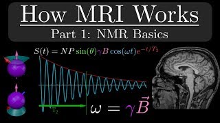 How MRI Works  Part 1  NMR Basics [upl. by Nayb400]