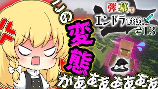 魔理沙の帽子を嗅いだ犯人は！？【ゆっくりマイクラ実況】弾幕でエンドラ討伐13 [upl. by Nivrac465]