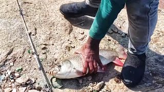 Rahu machli ka shikar hindi  traditional hook fishing  guche ka shikar [upl. by Frulla]