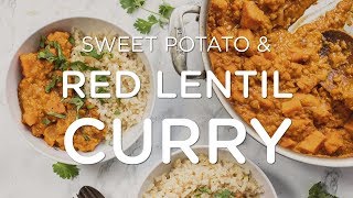 COZY amp CREAMY RED LENTIL CURRY ‣‣ Easy One Pot Vegan Recipe [upl. by Aninnaig]