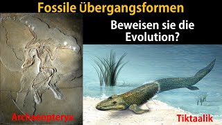 Fossilien als Übergangsformen Brückentiere [upl. by Aleras331]