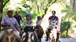 Trail Ride with Painted Ponies Equestrian Center near Sayulita Nayarit Mexico [upl. by Lazare]