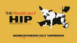 The Tragically Hip  Bobcaygeon AudioAlternate Version [upl. by Claudell]