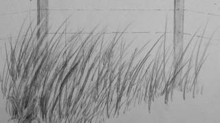 How to Draw Realistic Tall Grass [upl. by Loggins]