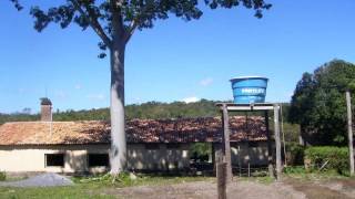 Fazenda Jacobina em Cáceres Mato Grosso [upl. by Atikel]