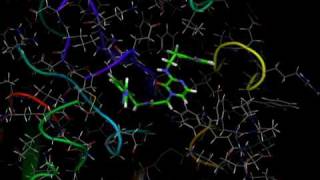 Disco Docking  Computational Drug Design [upl. by Enyale]