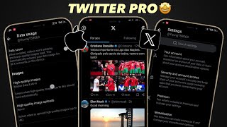 TWITTER PRO APK TUTORIAL 🔥 [upl. by Leachim649]