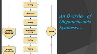 CHEMICAL SYNTHESIS OF DNA MALAYALAM [upl. by Ynolem]