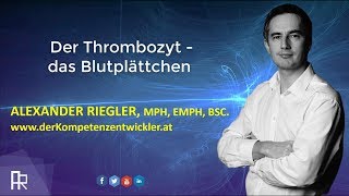 Der Kompetenzentwickler  Die Thrombozyten [upl. by Tonry263]