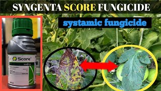 SYNGENTA SCORE FUNGICIDE  score fungicide  DIFENOCONAZOLE 25� [upl. by Cestar]