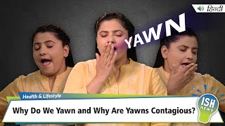 Why Do We Yawn and Why Are Yawns Contagious  ISH News [upl. by Ynaittirb]