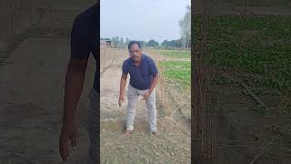 Band gobhi ke bijtrending khetikisanki agriculture viralvideo khetivlogs youtube 🥬🥬🥬🥬🥬🥬🥬🥬🥬🥬 [upl. by Daj]