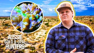 The Young Guns Mine 20000 Of RARE Pineapple Opal  Outback Opal Hunters [upl. by Zailer313]