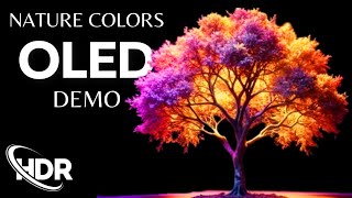 Best OLED Demo Nature Colors in HDR 60 FPS with Dolby Vision and Dolby Atmos [upl. by Duj132]