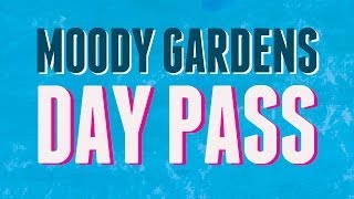 Moody Gardens Day Pass  Make Waves amp Save HD [upl. by Adah]