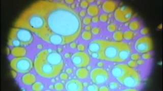 The Joshua Light Show  Liquid Loops 1969 [upl. by Cesya]