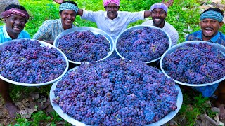 GRAPE JUICE  100 KG Grapes  Natural Pure Healthy Fruit Juice Making In Village  Juice Recipe [upl. by Ul586]