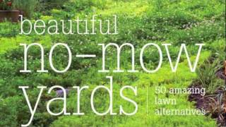 Beautiful NoMow Yards 50 Amazing Lawn Alternatives [upl. by Tesil413]