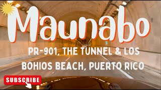 Maunabo PUERTO RICO in 4K 2022 PR 901 the tunnel and Bohios Beach [upl. by Enerahs857]