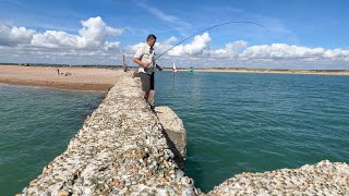 I took the Ultimate Bass Bait to Rye Harbour [upl. by Descombes]