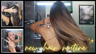 ma nouvelle routine cheveux lisses ✨ lissage parfait cheveux propre brillant amp en bonne santé [upl. by Raoul]