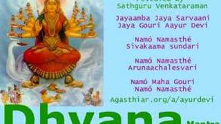 Maa Ayur Devi part 1  DHYANA MANTRA [upl. by Ecnedurp]