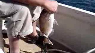 Fishing NZ style of the Coast of Motueka [upl. by Koressa]