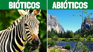 FACTORES BIÓTICOS y FACTORES ABIÓTICOS características y ejemplos🌎🌱 [upl. by Ettezyl]