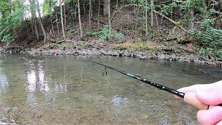 TROUT Fishing TIPS  Trout Fishing with Spinners in Creeks amp Streams [upl. by Leamsi]