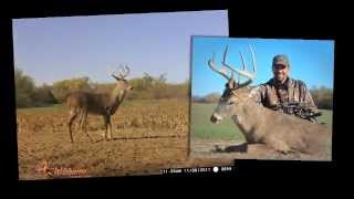 Wildgame Innovations Promo [upl. by Andie]