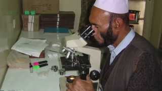 Malaria rapid diagnostic tests to improve treatment in Afghanistan [upl. by Rennob201]