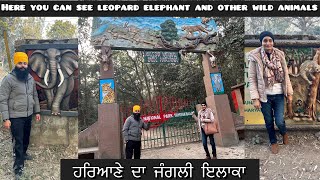 Kalesar national park yamunanagar  Haryana tourism  singhharvindervlogs [upl. by Austina]