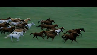 Rossini William Tell Overture Final with Horse Run [upl. by Runck547]