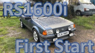 Mk3 Ford Escort RS1600i  First Start [upl. by Katerine954]