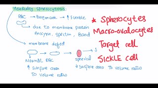 Rbc morphology haematology 24 First Aid USMLE Step 1 in UrduHindi [upl. by Isolda]