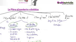 La fibra alimentaria o dietética  wikinutrición [upl. by Mab314]