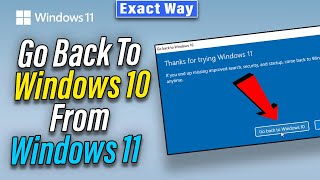 How to Go Back To Windows 10 From Windows 11  2024  StepbyStep [upl. by Bate]