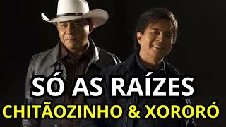 As Melhores Antigas de Chitãozinho e Xororó 🎶 [upl. by Burris727]