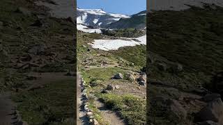 Hiking the Skyline Trail Rainier National Park Along the trail Shorts [upl. by Ziom]