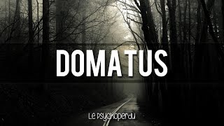 Domatus  Le Psychoperdu PSYTRANCE [upl. by Annairoc]